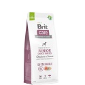 Brit Care Dog Sustainable Insect Junior Large Breed  12 kg