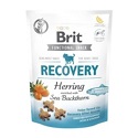 Brit Care Functional Snack RECOVERY   150 g