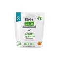 Brit Care Grain-Free Adult Large Breed Salmon & Potato 1 kg