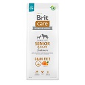 Brit Care Grain-Free Senior & Light Salmon & Potato 12 kg
