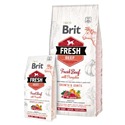 Brit Fresh Beef with Pumpkin Puppy Large Bones & Joints - marha és sütőtök 2,5 kg