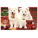 Karácsonyi tál alátét kutyáknak (42,5x30 cm)