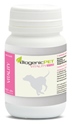 BiogenicPet Vitality Small - vitalizáló, regeneráló tabletta (60 db)