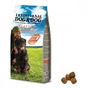 Traditional Dog&Dog Placido Mantenimento Lazac 20 kg