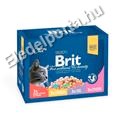 Brit Premium Cat Family Plate 12x100 g