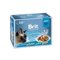 Brit Premium Cat Delicate Fillets In Gravy Family Plate 12x85g