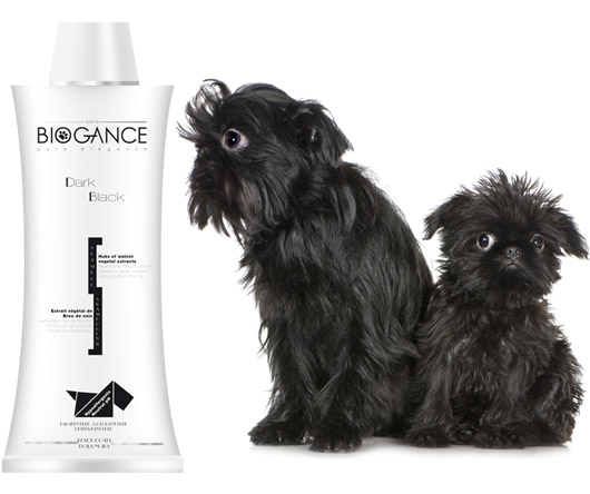 Biogance Dark Black Shampoo (250 ml)