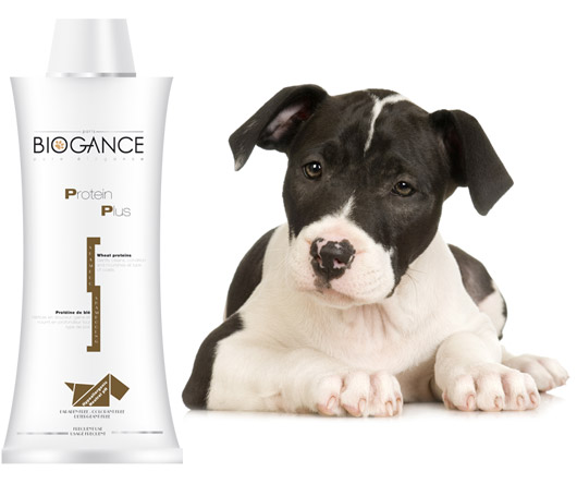 Biogance Protein Plus Shampoo (250 ml)