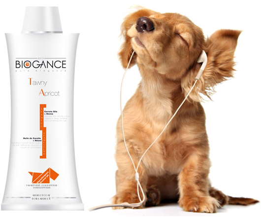 Biogance Tawny Apricot Shampoo (250 ml)