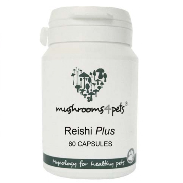 Reishi Plus (400 mg) tabletta (60 db)