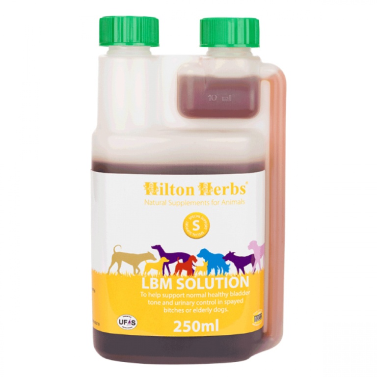 LBM Solution húgyhólyag támogató oldat 250 ml