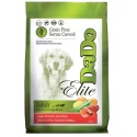 DaDo Elite Adult Large & Medium Fish 12 kg