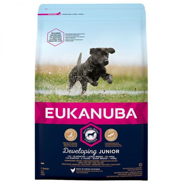 Eukanuba Junior Large 3 kg