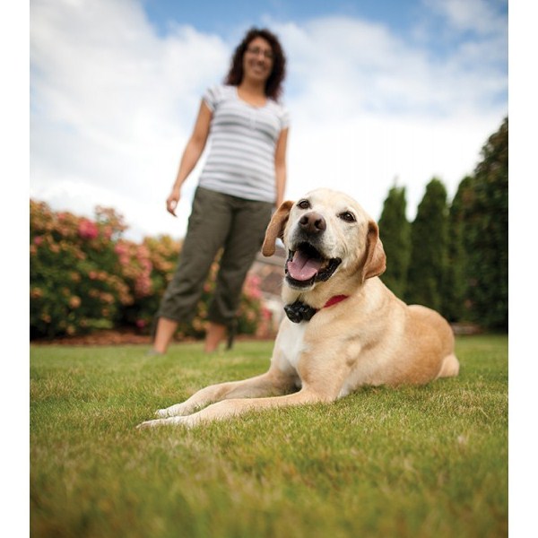 Petsafe kutyakerítés közepes méretű és kistestű kutyáknak