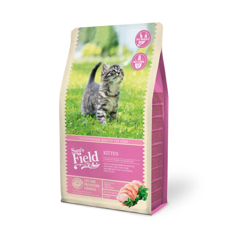 Sam's Field Cat Kitten