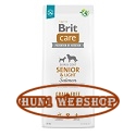 Brit Care Grain-Free Senior & Light Salmon & Potato 12 kg