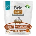 Brit Care Grain-Free Senior & Light Salmon & Potato 1 kg