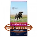 Eukanuba Junior Large 15 kg
