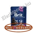 Brit Premium Cat Salmon & Trout 24x100 g