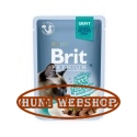 Brit Premium Delicate Fillets in Gravy with Beef 24x85 g