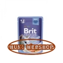Brit Premium Delicate Fillets in Jelly with Salmon 24x85 g