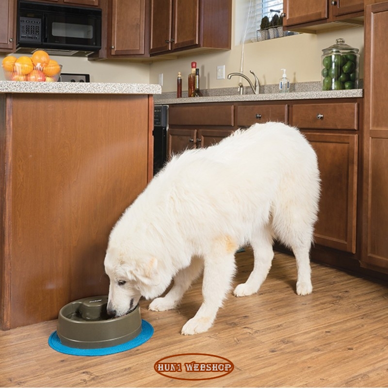 Drinkwell Current Ivókút (3,5 L)