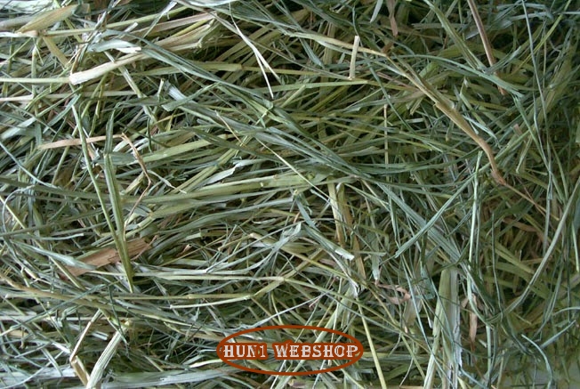 Dolly Pets Réti széna (6 L)