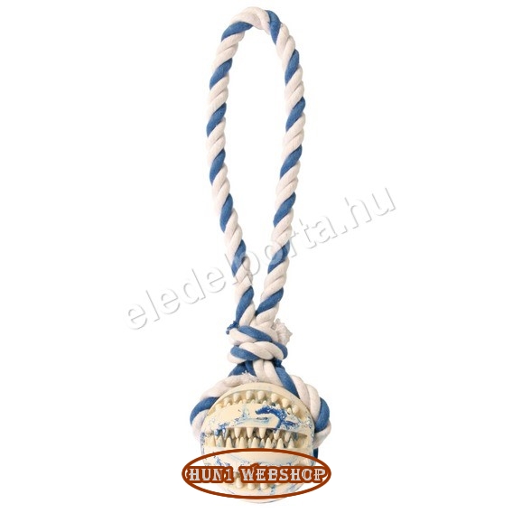 Trixie Denta Fun labda kötélen