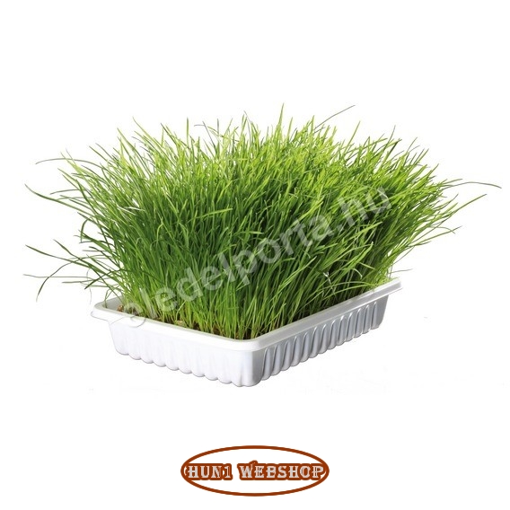 Trixie macskafű kiscicáknak 100 g