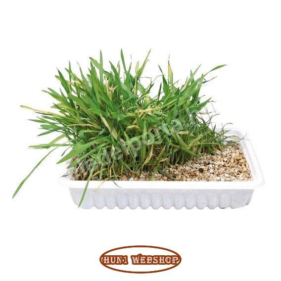 Trixie macskafű 100 g