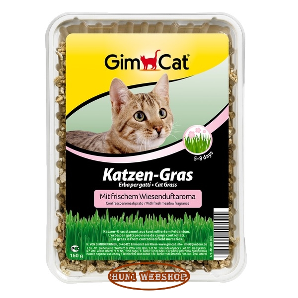 GimCat Macskafű