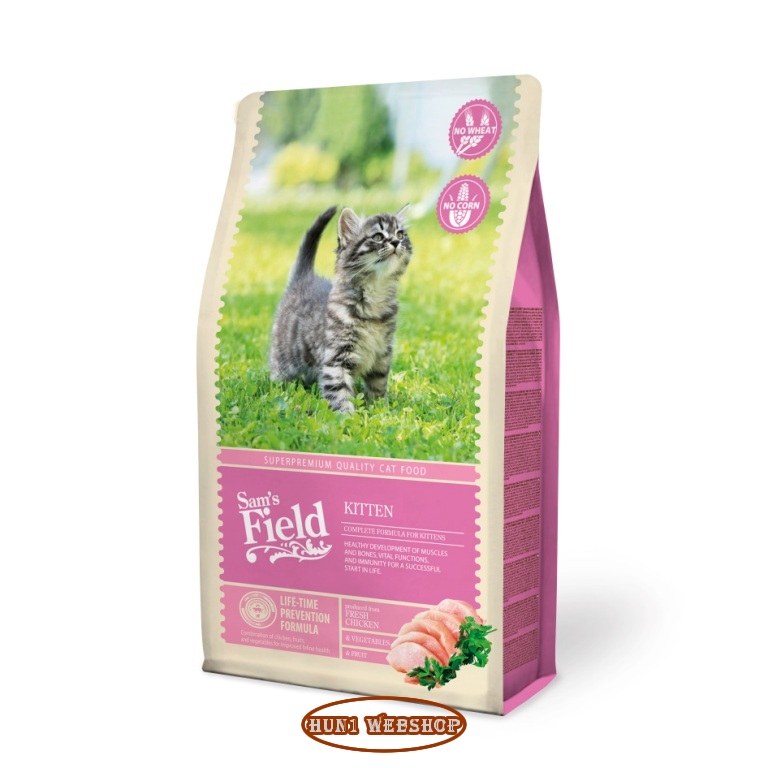 Sam's Field Cat Kitten