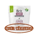 Brit Care Dog Sustainable Insect Junior Large Breed 1 kg