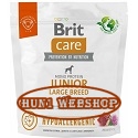 Brit Care Hypoallergenic Junior Large Breed Lamb 1 kg