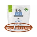 Brit Care Dog Sustainable Insect Adult Large Breed 1 kg