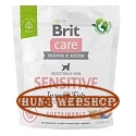 Brit Care Dog Sustainable Insect Sensitive 1 kg