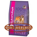 Eukanuba Puppy Medium Breed
