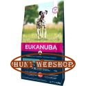 Eukanuba Adult Large Salmon & Barley 2,5 kg
