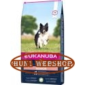 Eukanuba Senior Small & Medium Lamb & Rice 12 kg