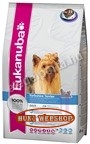 Eukanuba Yorkshire Terrier