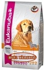 Eukanuba Golden Retriever
