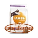 IAMS Cat Kitten Chicken 2 kg