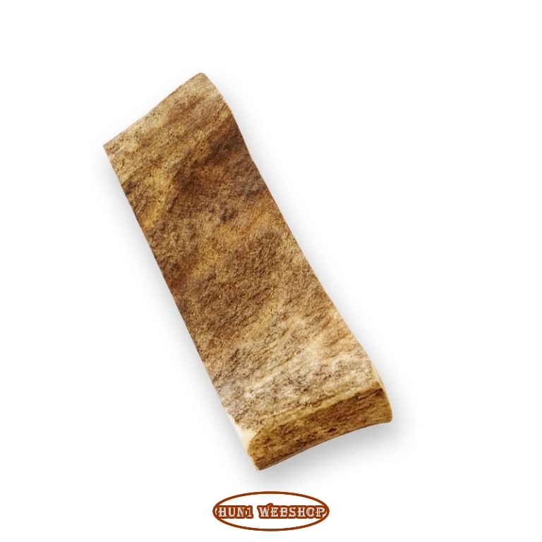 Jack Dámszarvas agancs (S-M)